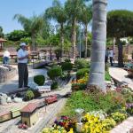 ModelTrains_0003 (May 14, 2011)